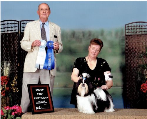 Johnny - champion canadien et amricain