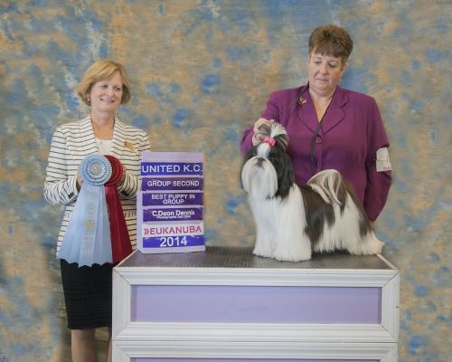 Kate - championne canadienne Stef ma power of a dream fabulous