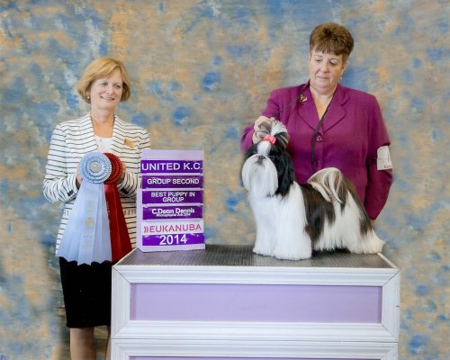 Kate - mre des chiots 