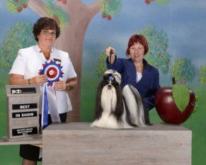 Victor - pre des chiots 